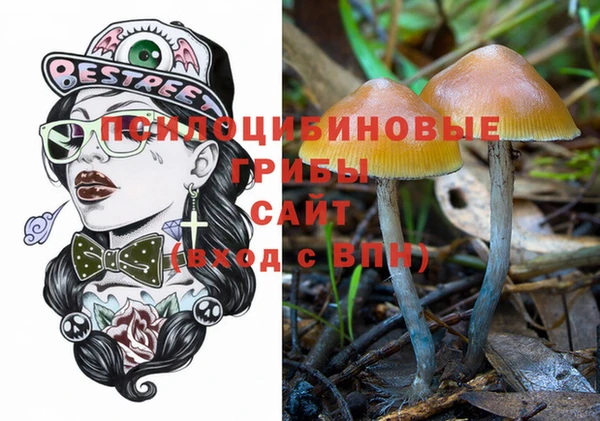 прущие крисы Армянск