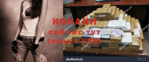 ГАЛЛЮЦИНОГЕННЫЕ ГРИБЫ Аркадак
