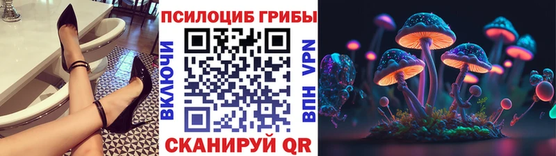 Псилоцибиновые грибы прущие грибы  Ак-Довурак 